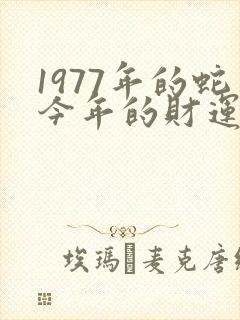 1977年的蛇今年的财运如何