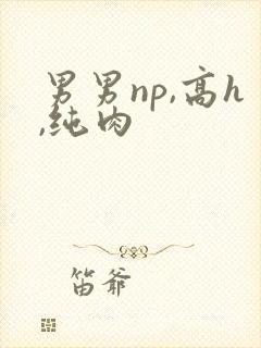 男男np,高h,纯肉