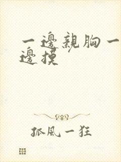 一边亲胸一边脱边摸