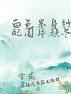 白色半身纱裙搭配图片秋冬