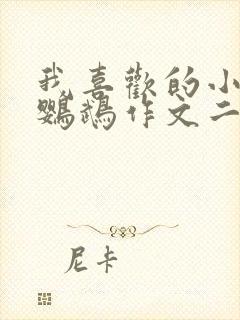 我喜欢的小动物鹦鹉作文二年级