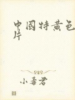 中国特黄色一级片