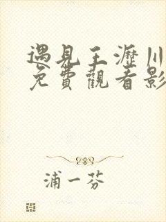 遇见王沥川全集免费观看影视大全