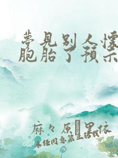 梦见别人怀了双胞胎了预示着什么