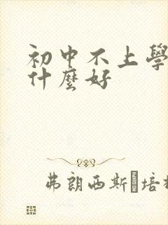 初中不上学了学什么好