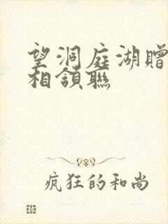 望洞庭湖赠张丞相颔联