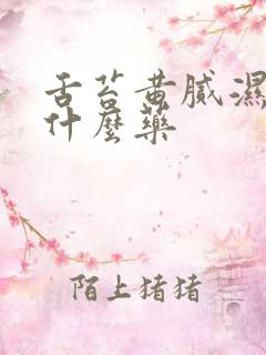 舌苔黄腻湿热吃什么药