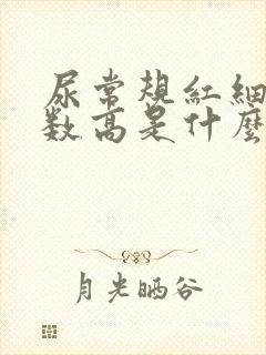 尿常规红细胞总数高是什么原因