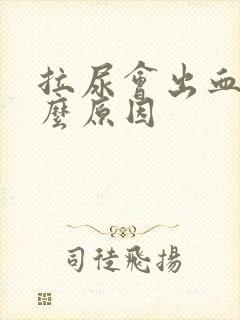 拉尿会出血是什么原因