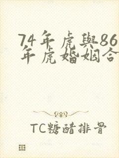 74年虎与86年虎婚姻合适吗