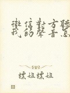 微信对方听不见我的声音怎么回事