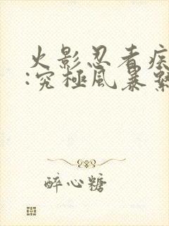 火影忍者疾风传:究极风暴系列