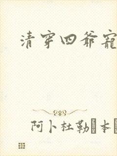 清穿四爷宠文