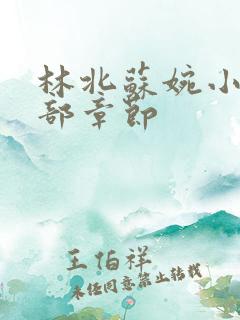 林北苏婉小说全部章节