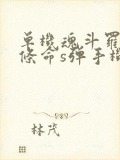 单机魂斗罗30条命s弹手机版