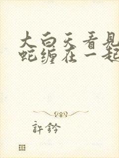 大白天看见两条蛇缠在一起