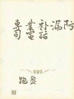 专业补漏防水公司电话