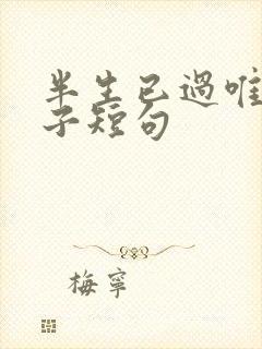 半生已过唯美句子短句