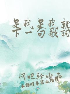 是我是我就是我下一句歌词