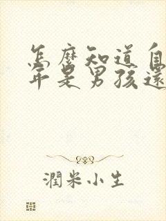 怎么知道自己今年是男孩还是女孩