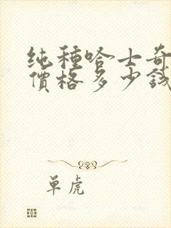 纯种哈士奇幼犬价格多少钱