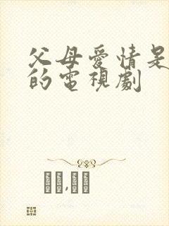 父母爱情是哪年的电视剧