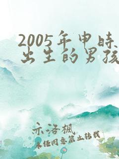 2005年申时出生的男孩命运