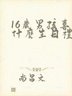 16岁男孩喜欢什么生日礼物