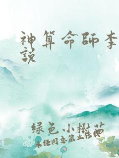 神算命师李耀小说
