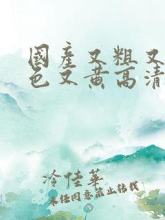 国产又粗又猛又色又黄高清视频