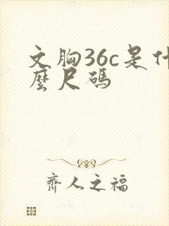 文胸36c是什么尺码