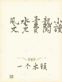 风水青龙小说全文免费阅读无弹窗