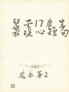 儿子17岁生日最暖心短句