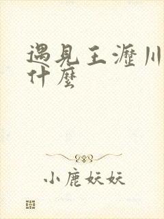 遇见王沥川讲的什么