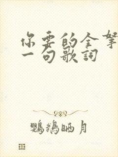 你要的全拿走下一句歌词