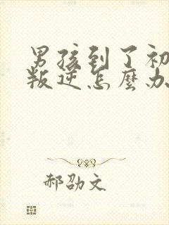 男孩到了初中很叛逆怎么办