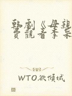 韩剧《母亲》免费观看李采潭