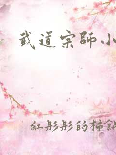 武道宗师小说读