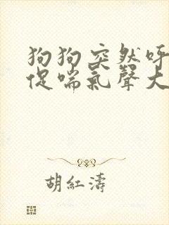 狗狗突然呼吸急促喘气声大
