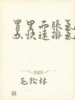 胃里面胀气怎么办快速排气