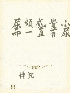 尿频感觉小腹下面一直有尿意男性吃什么药