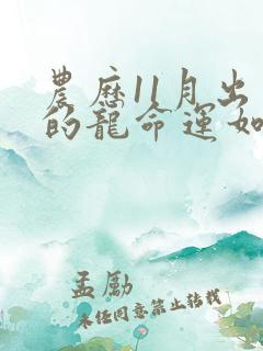 农历11月出生的龙命运如何