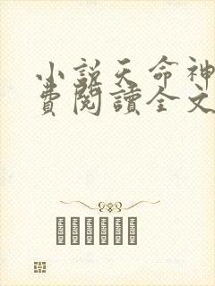 小说天命神相免费阅读全文