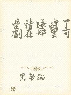 爱情睡醒了电视剧在哪里可以看