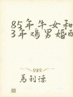 85年牛女和93年鸡男婚配