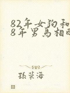 82年女狗和78年男马相配婚姻如何