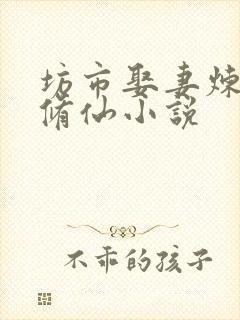 坊市娶妻炼丹的修仙小说