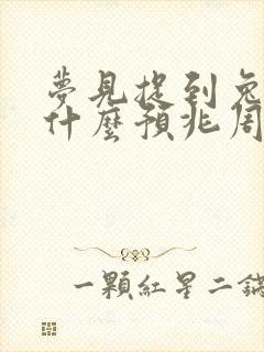 梦见捉到兔子是什么预兆周公解梦