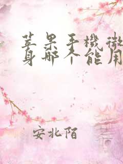 苹果手机微信分身哪个能用