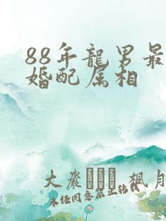 88年龙男最佳婚配属相